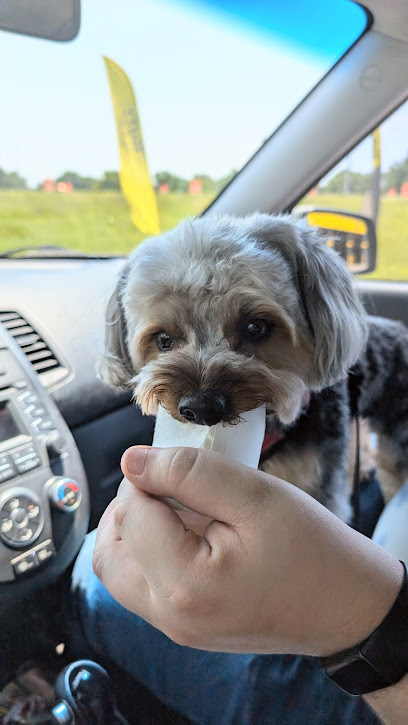 Pet Grooming By Audrey LLC.