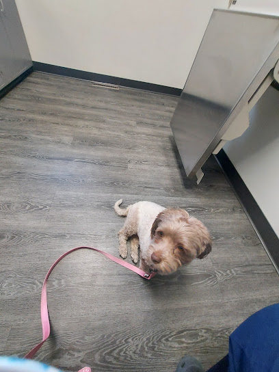 Westgate Animal Clinic