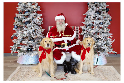 Bonafide Dog Academy