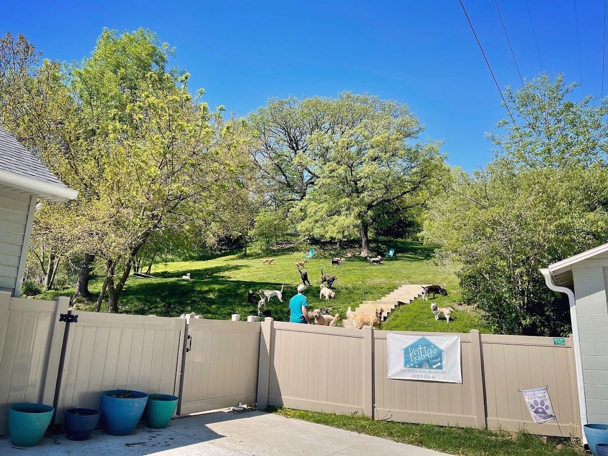 Katie's Kennel, Inc. - Photo 2