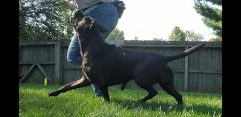 Love2Lead Dog Training LLC