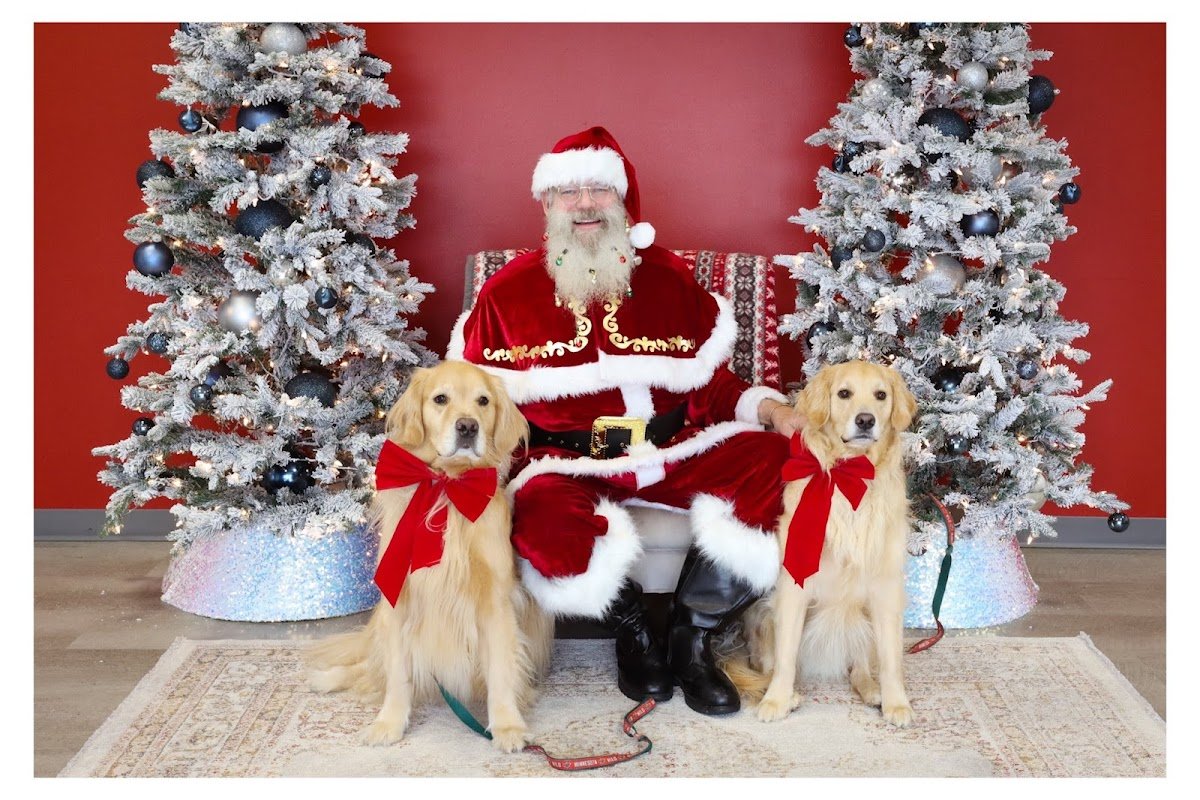 Bonafide Dog Academy - Photo 2