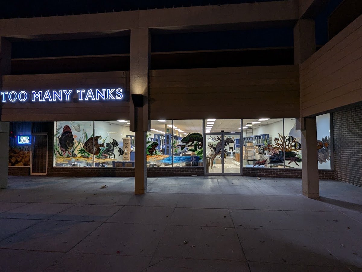 Too Many Tanks - Photo 2