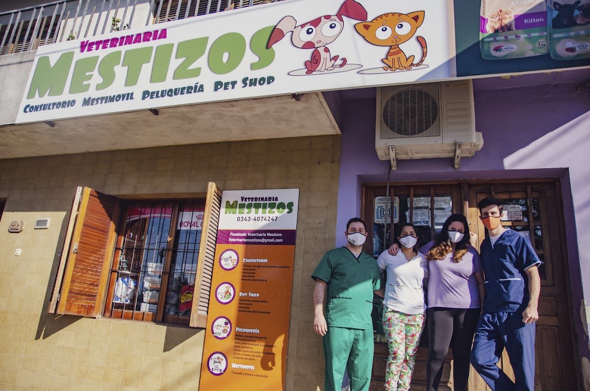 Veterinaria Mestizos