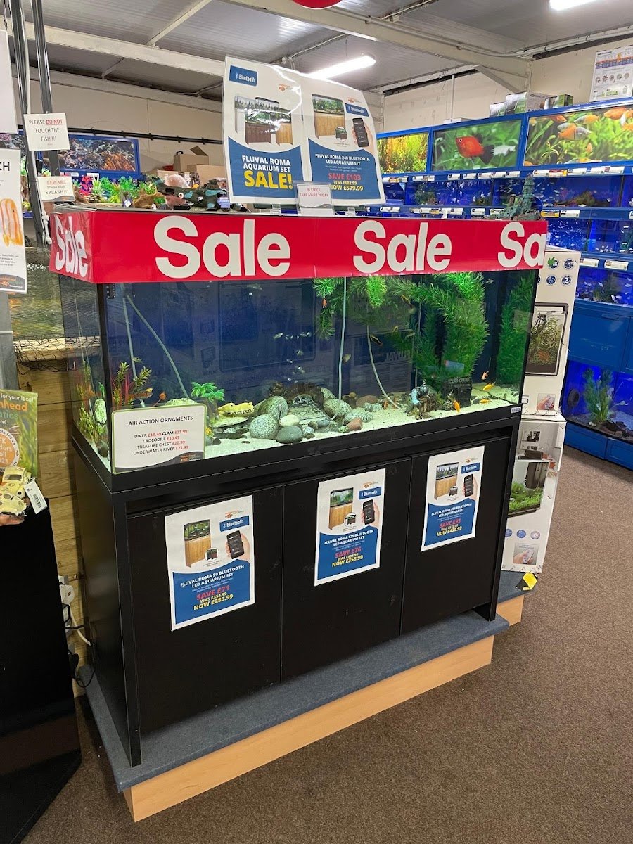 Maidenhead Aquatics Stokesley - Photo 2