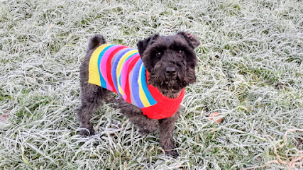 Petpals Hartlepool & East Durham