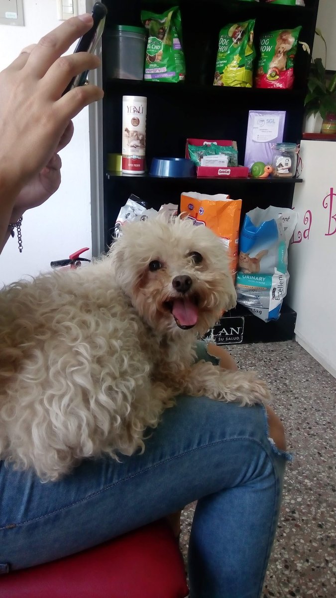 VETERINARIA DRA ORNETTI MARIANA - Pet Shop em Paraná