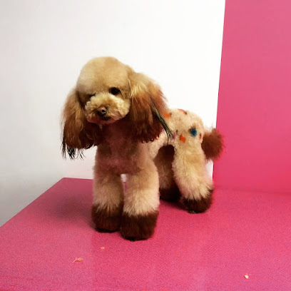 Amys Pets - Dog Grooming