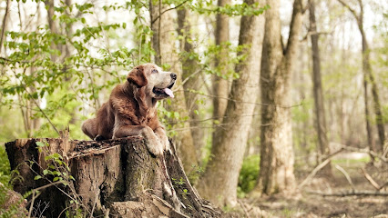 Paws At Peace ® - North East and Yorkshire