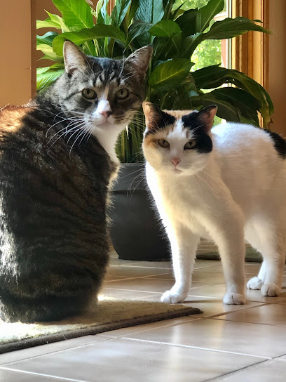 Whinny N Wag Professional Pet Care, LLC