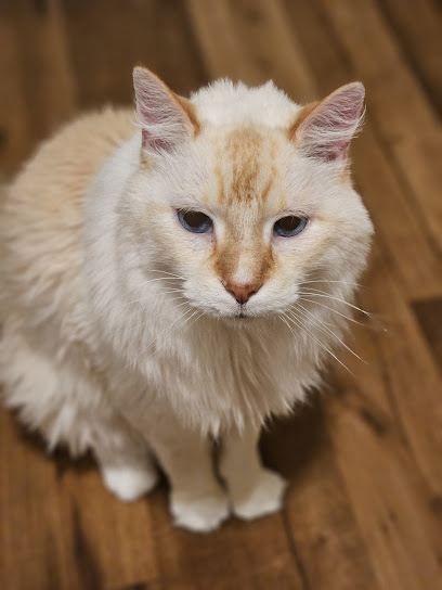 VCA Animal Medical Center of Omaha