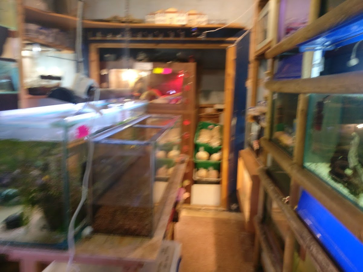 Heather's Place4Pets - Photo 2