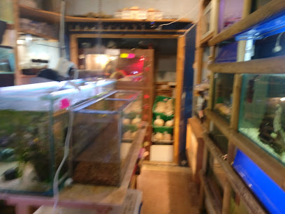 Heather's Place4Pets