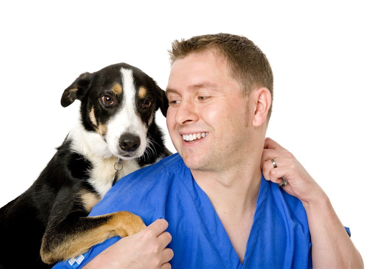 White Cross Vets - Photo 2
