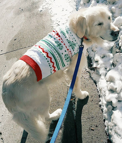 Old Market Bark-it Pet Care