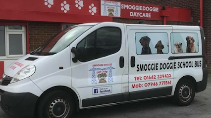 Smoggie doggie daycare