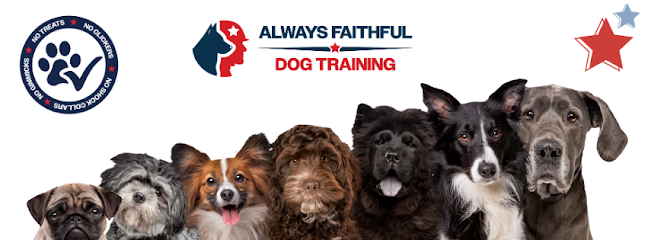 Always Faithful Dog & Puppy Training Omaha NE