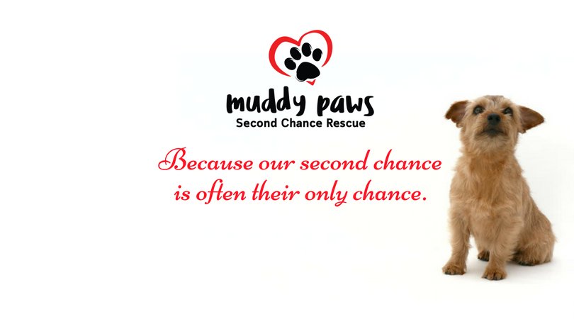 Muddy Paws Second Chance Rescue - Photo 2