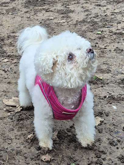 Clevedale Veterinary Practice, Stokesley