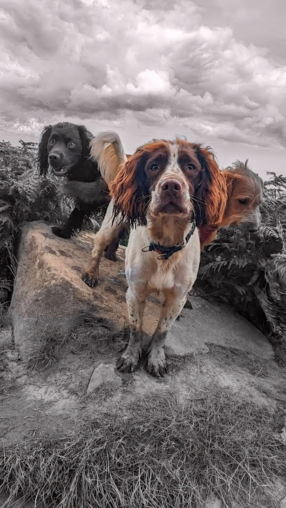 4 Paws Unleashed 10 years - Pet Shop in Middlesbrough