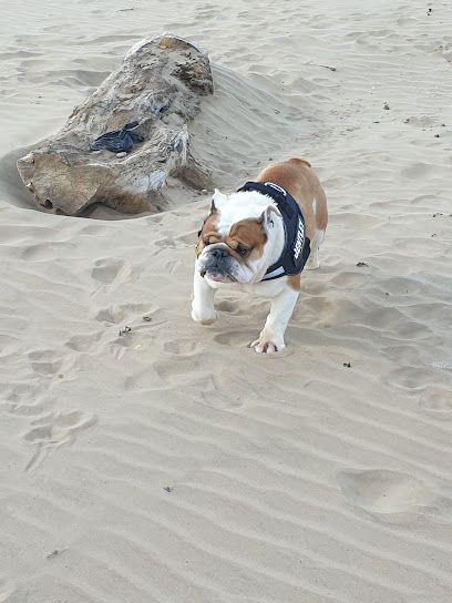 Bartle Bridge Kennels & Cattery