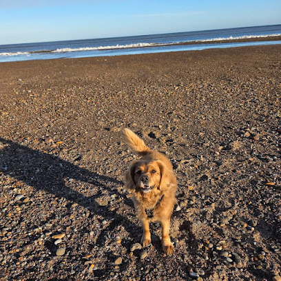 The North Yorkshire Furry Godmother