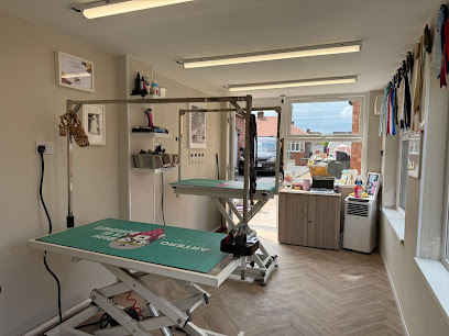 Wash n Wag Groomers - Pet Shop in Middlesbrough