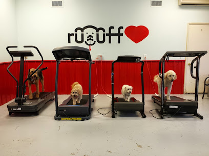 Ruuff Luv Doggie Daycare