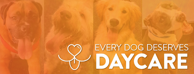 Dogtopia of Omaha-West