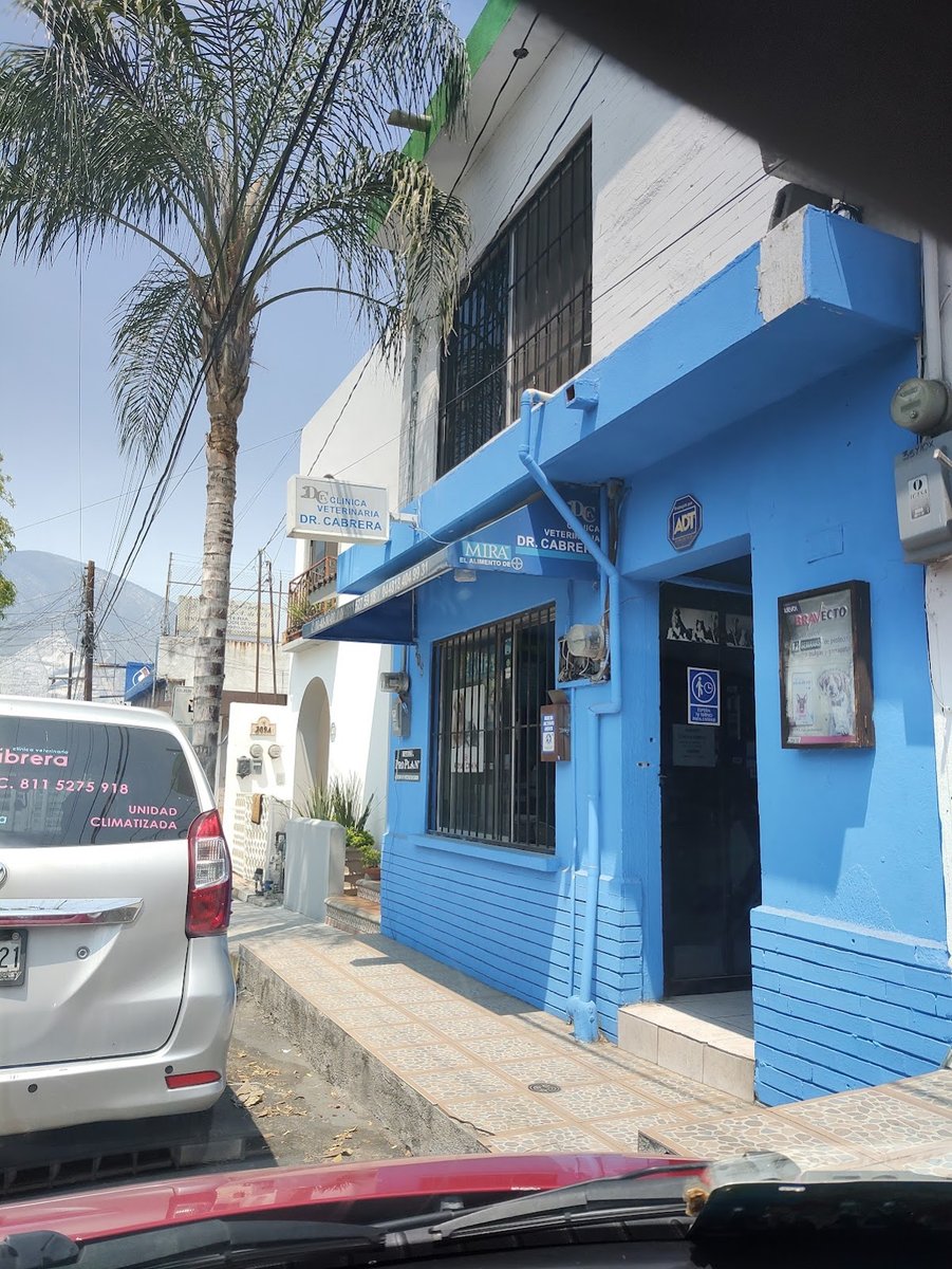 clinica veterinaria dr.cabrera