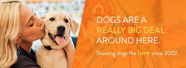 Dogtopia of Omaha-Northwest