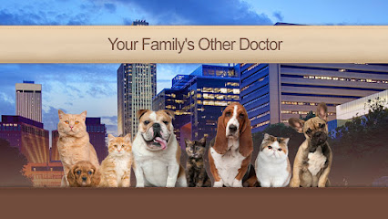 Omaha Animal Medical Group