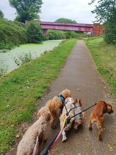 All you need is love dog walking service - Pet Shop in Bolton