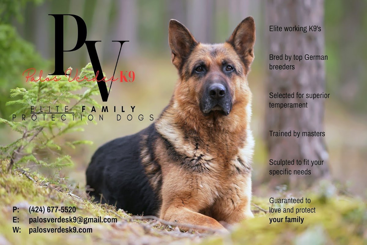 Palos Verdes K9 - Photo 2