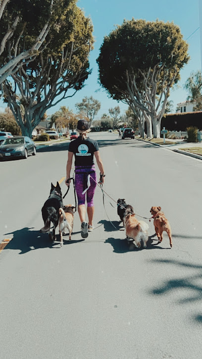 Surfside Dog Academy