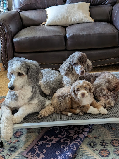 pawsitively Obedient Dog Training