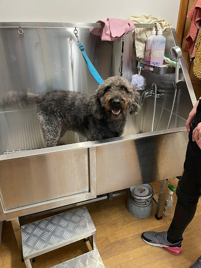 British School of Grooming - Pet Shop in Bolton