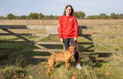We Love Pets Ormskirk - Pet Shop in Bolton
