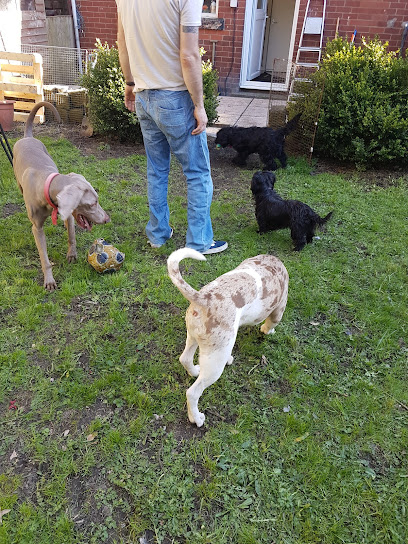 PAWSITIVE steps dog training and pet services - Pet Shop in Bolton