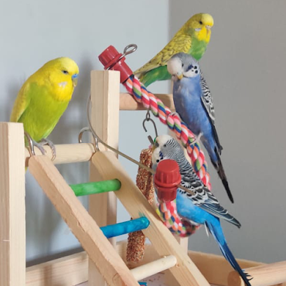 We Love Pets Bolton - Dog Walker, Pet Sitter & Home Boarder - Pet Shop in Bolton