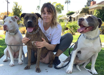 Hush Puppies Pet Care