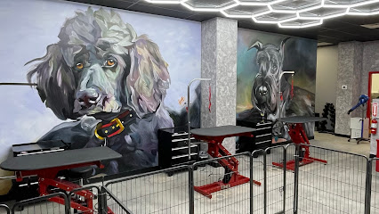 Long Beach Pet Grooming