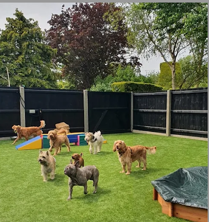 Doggy sitters - Pet Shop in Bolton