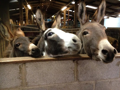 Smithills Open Farm - Pet Shop in Bolton