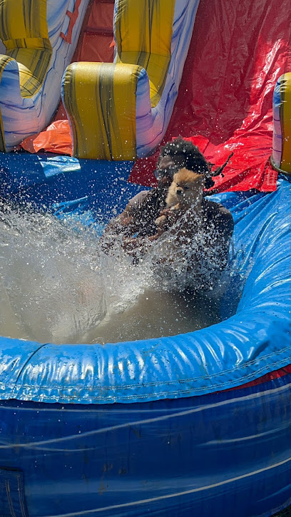 Exotic Paws Doggy Day Camp