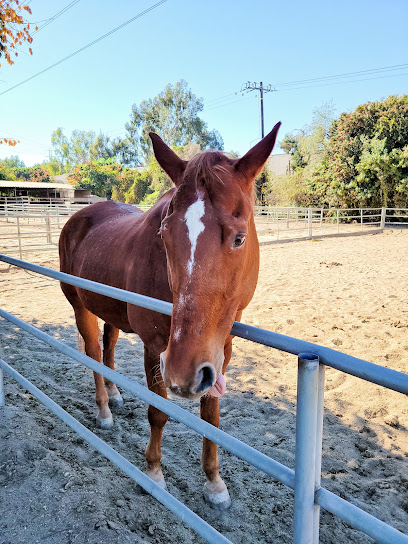 Rancho Rio Verde Riding Club