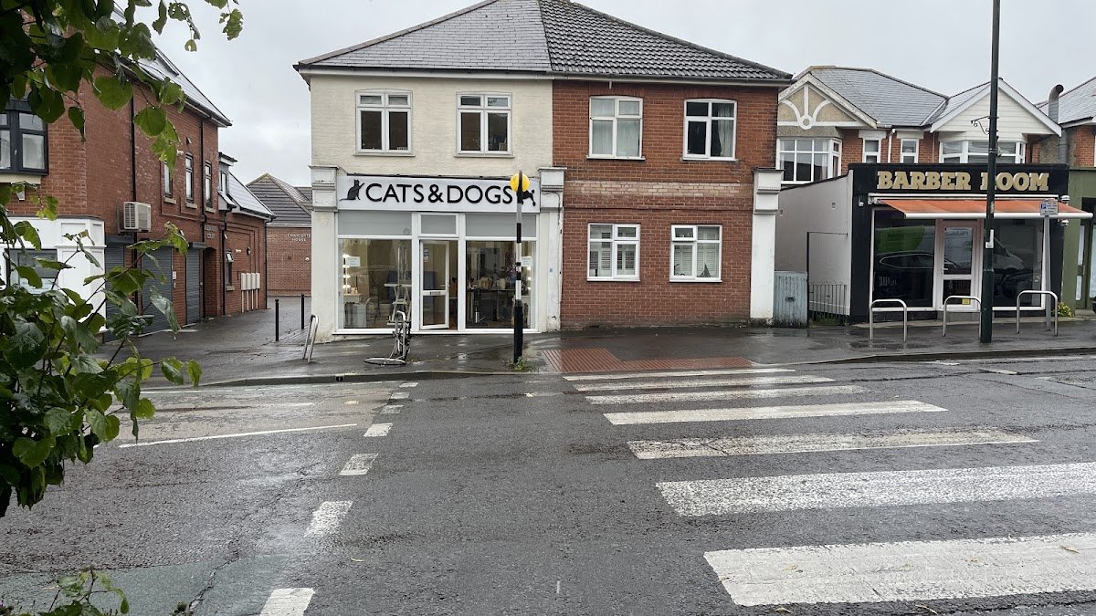 Cats and Dogs grooming Bournemouth,Won Best Pet Grooming Business awards Dorset 2023.Our Grooming school opening soon - Photo 2