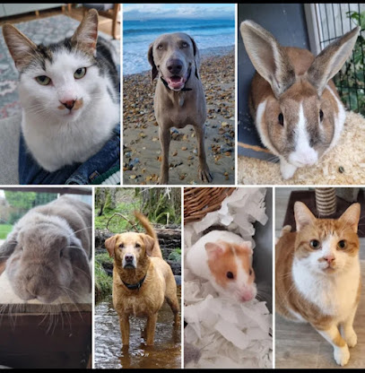 Wonder Woof Walkies - Pet Shop in Bournemouth