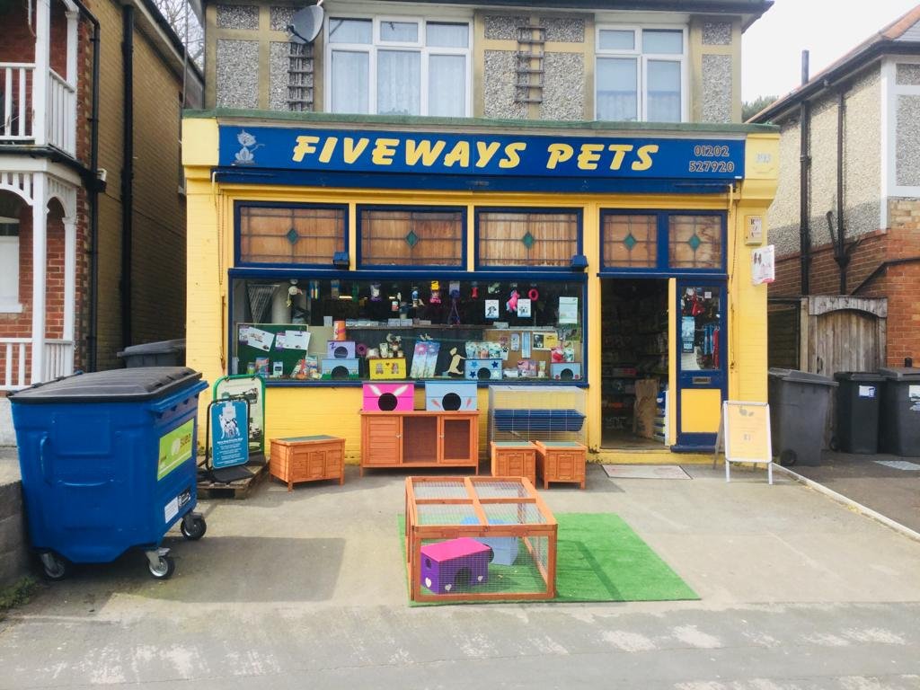 Fiveways Pets - Photo 2