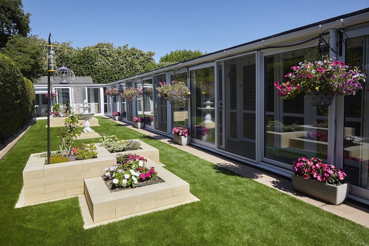 Bournemouth Boarding Cattery Ltd - Photo 2